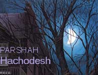 This Week's Torah Portion: Hachodesh